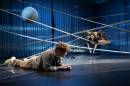 Foto: Thilo Beu  &raquo; Click to zoom ->
