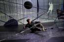 Foto: Thilo Beu  &raquo; Click to zoom ->